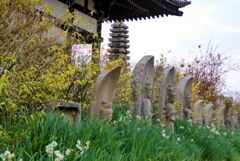 奈良般若寺の石仏と水仙