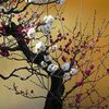 紅白梅