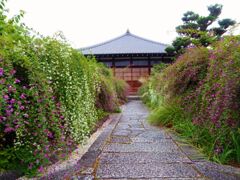 萩の聖地京都常林寺