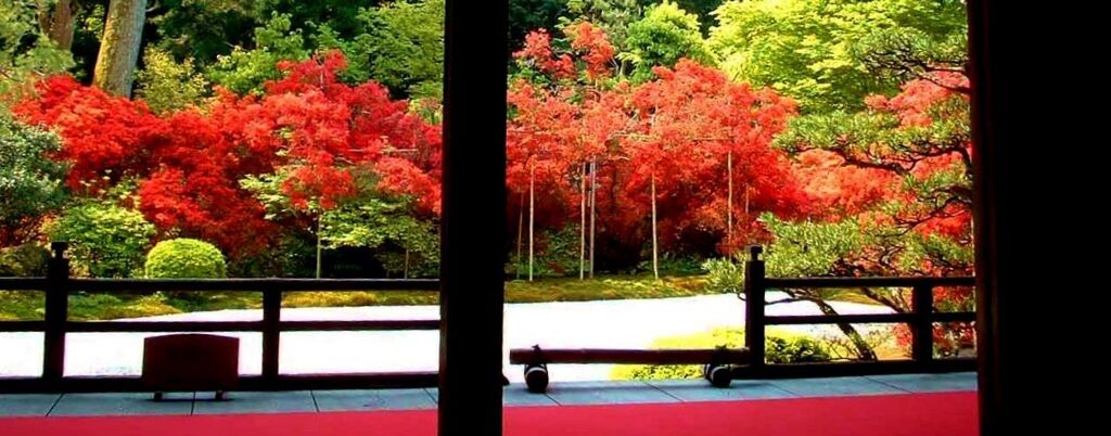 燃える庭園