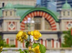 大阪のベルサイユ宮殿（中央公会堂）とバラ