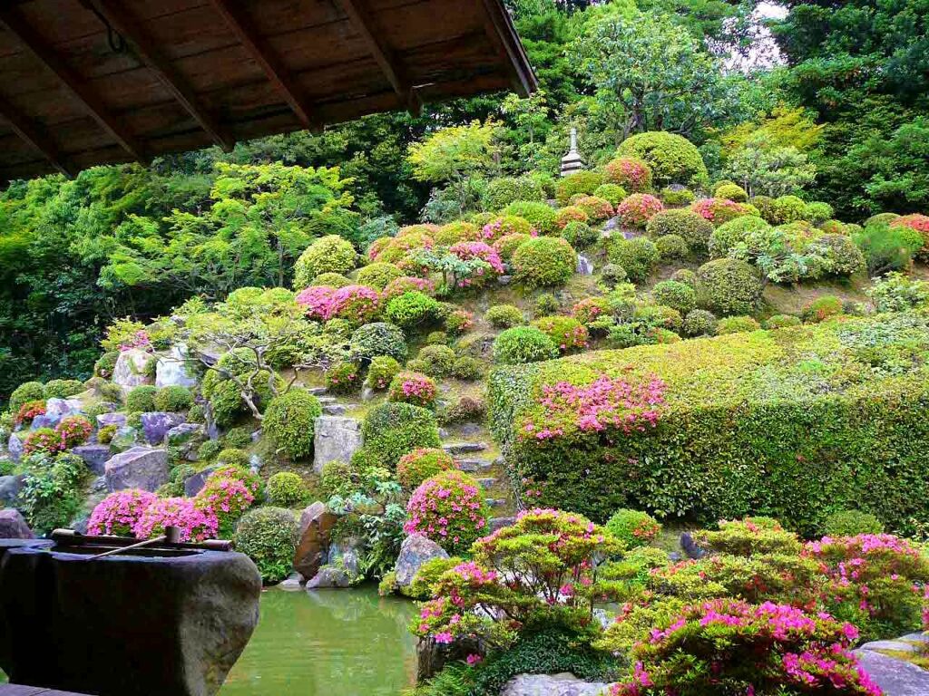 京都智積院の皐月