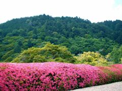 天空の皐月、京都吉峯寺