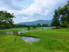 嵯峨野の夏