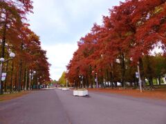 大阪の紅葉