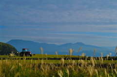 Tractor