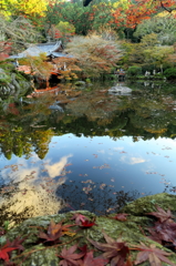 醍醐寺にて