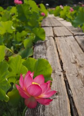静かな時間｡｡