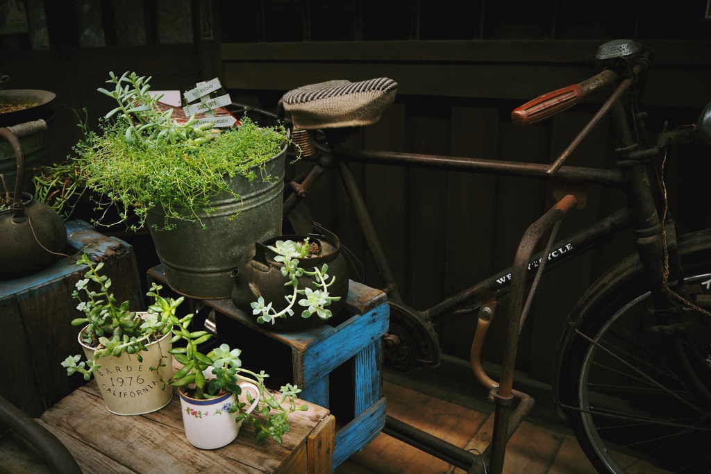 Little green