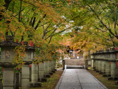 紅葉間近の参道