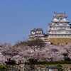 春爛漫