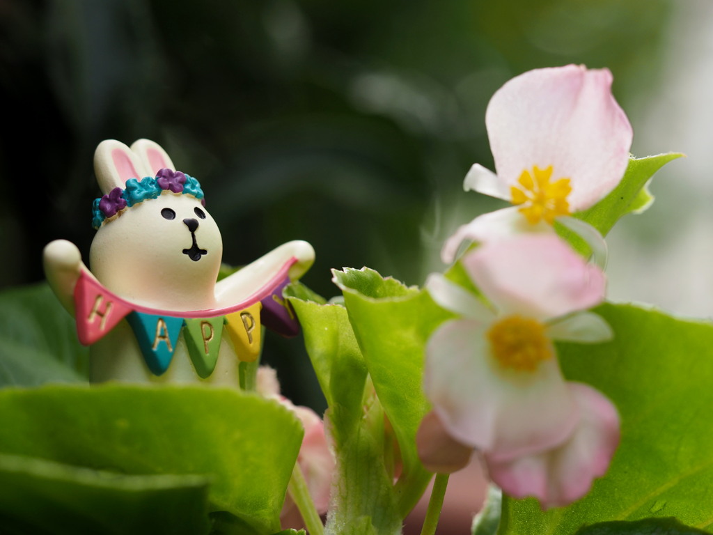 ちいさな はっぴ～。