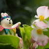 ちいさな はっぴ～。