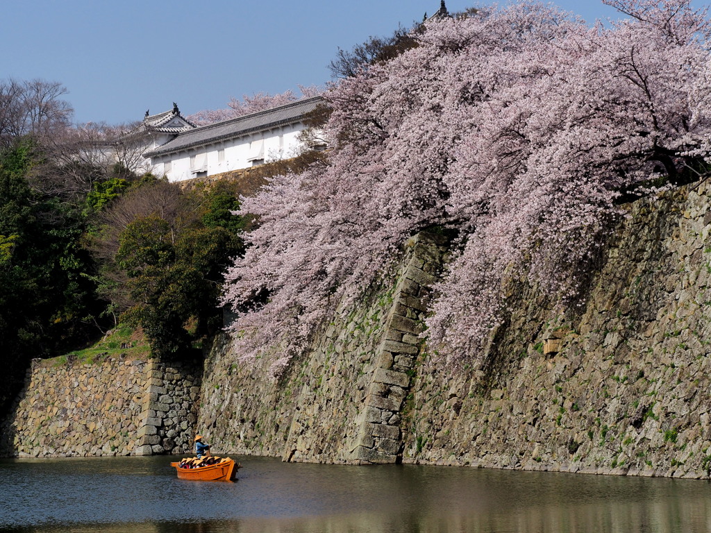 さくらの滝。