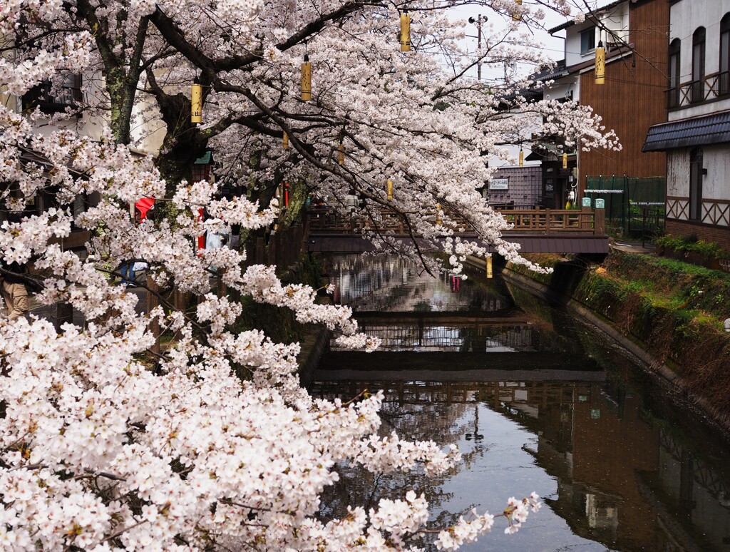 まち並に 花が咲く。