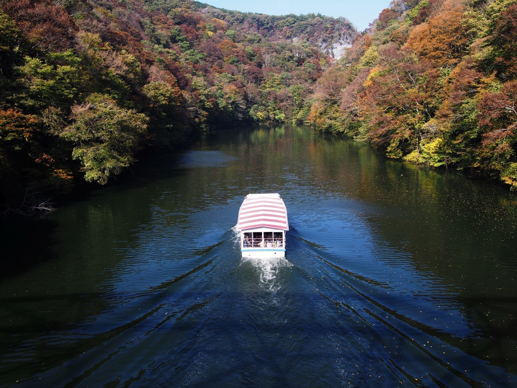 水上紅葉めぐり～