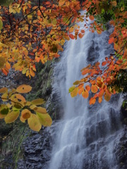 秋景額「滝」