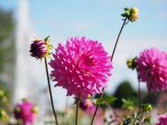 おおきく深呼吸(^^)/ おおきく深呼吸(^^)/
