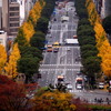 街は秋色