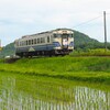田植えの季節~のどかに走る～
