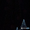 星降る夜に