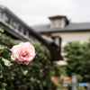 山手西洋館①