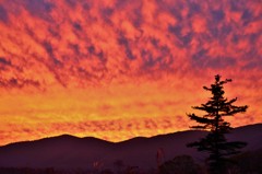 夕景　尾瀬