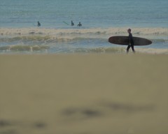 春の波