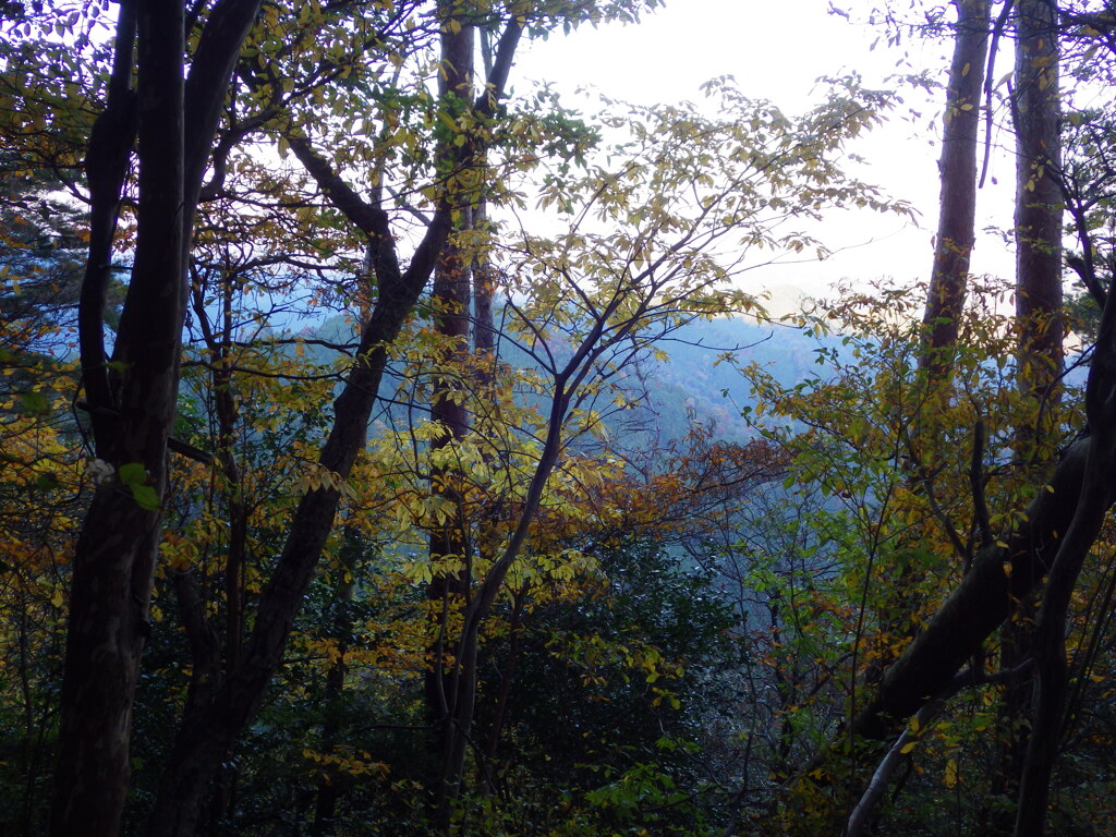 晩秋の山歩き3