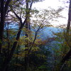 晩秋の山歩き