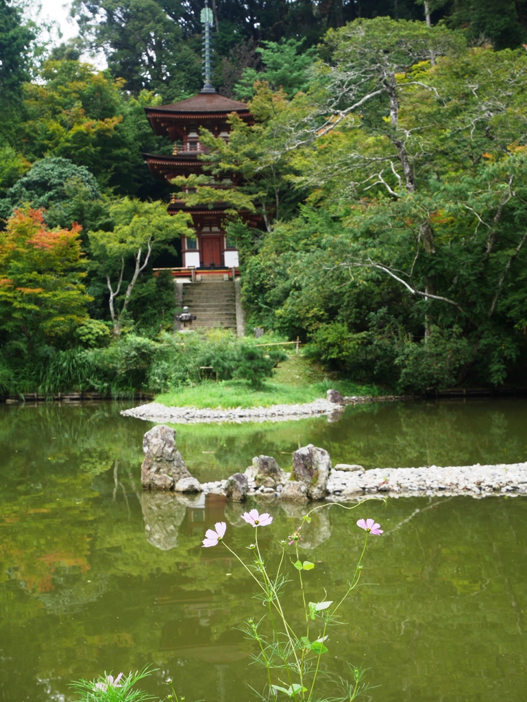 浄瑠璃寺苑池