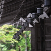 高野山点描
