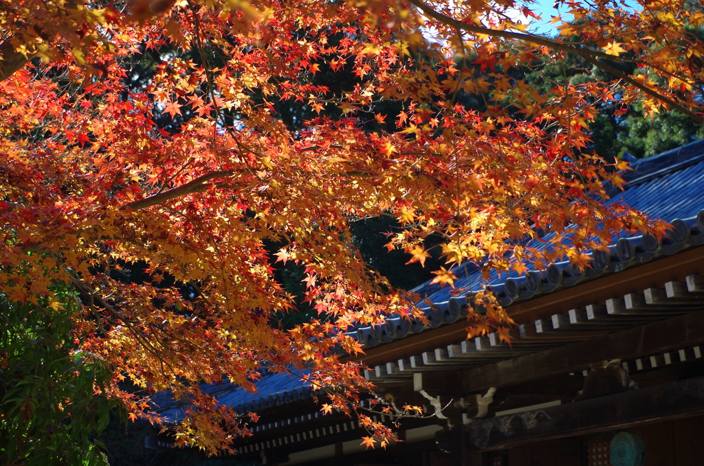 当尾の里・浄瑠璃寺