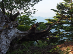 台高山脈縦走路