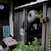 ならまち町家cafe1