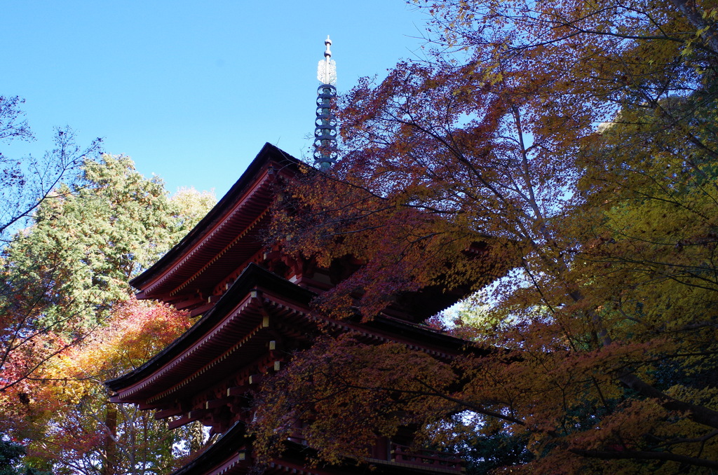 当尾の里・三重塔～浄瑠璃寺