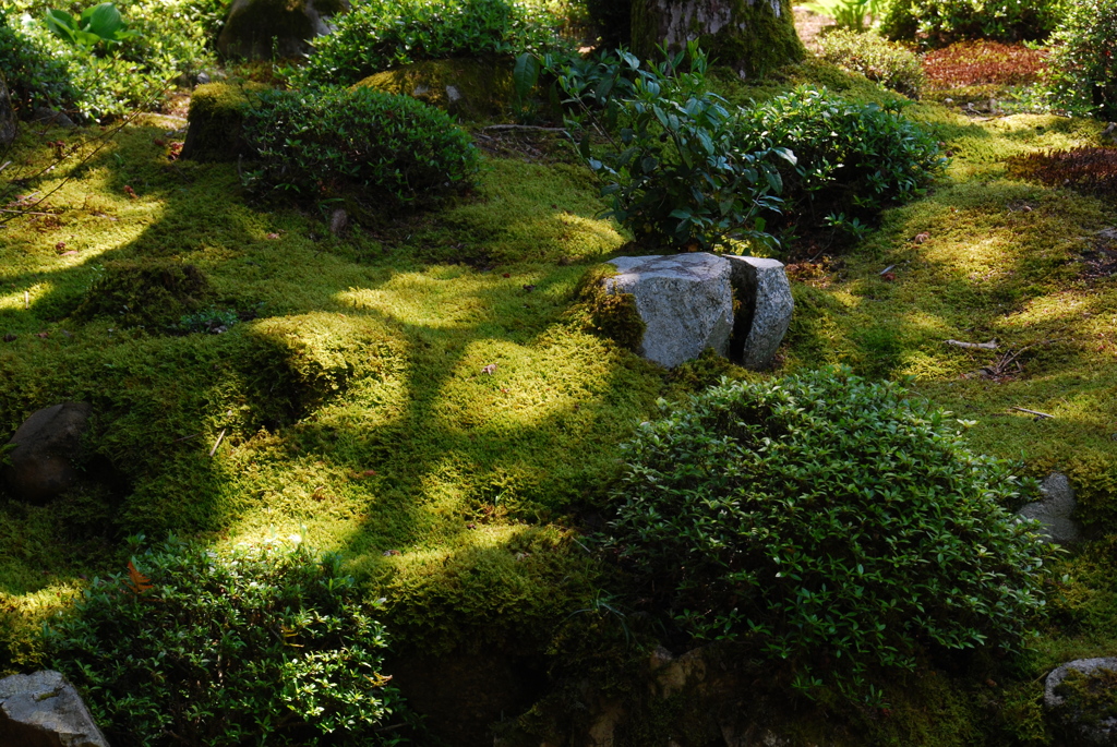 苔の庭