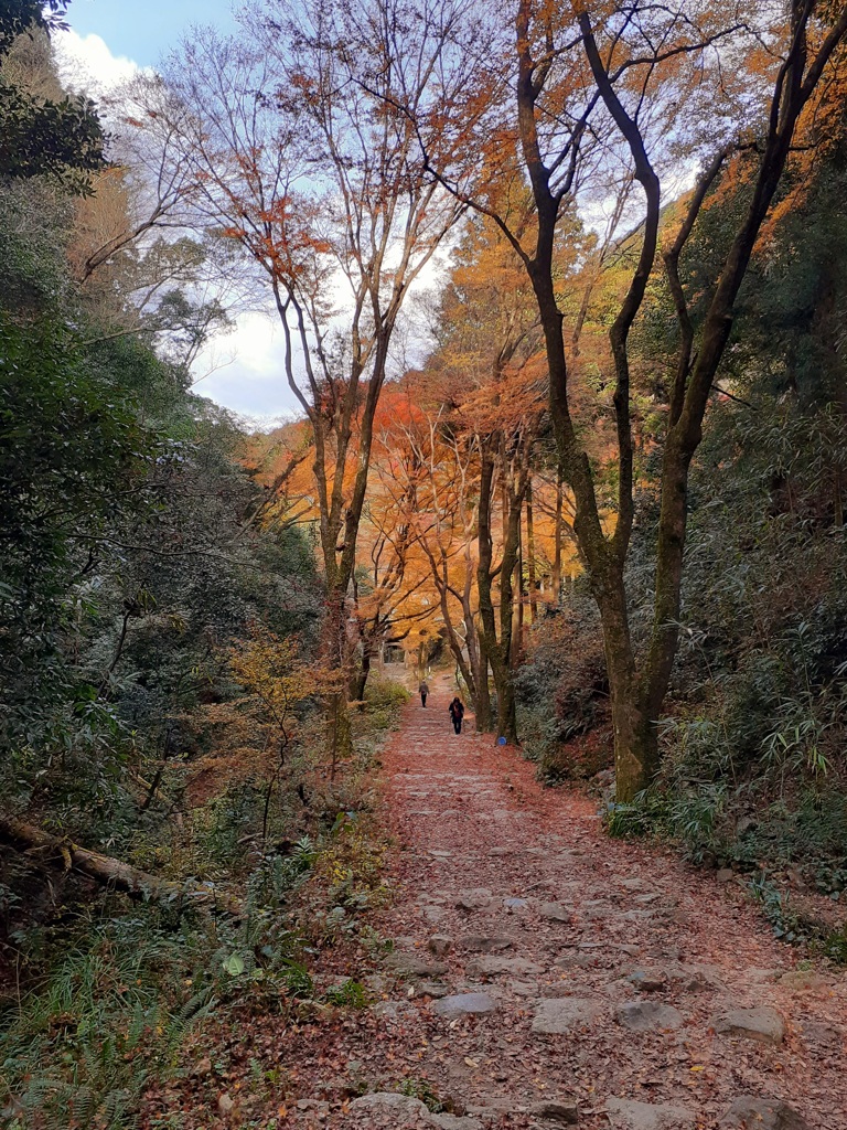 紅葉踏みしめて