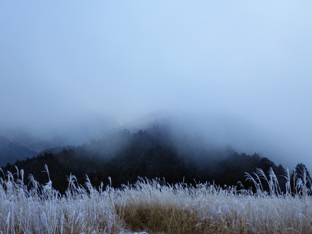 雪雲に覆われる里山