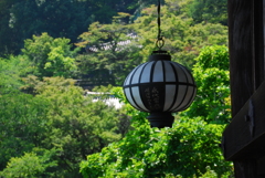 初瀬の夏
