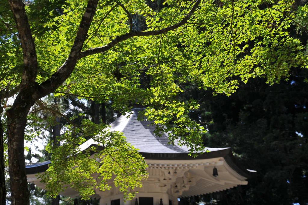 高野山点描・六角経蔵