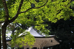 高野山・点描