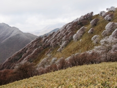 竜ヶ岳にて