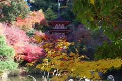 当尾の里・三重塔～浄瑠璃寺Ⅱ