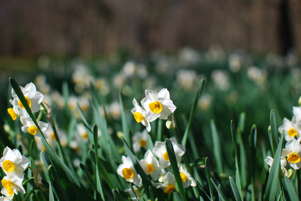 春がすぐそこまで