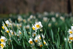 春がすぐそこまで