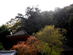 天野山金剛寺多宝塔