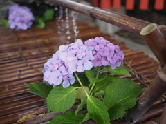 手水舎