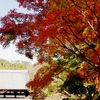 根来寺 紅葉