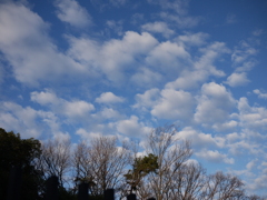 春を感じる朝空#4